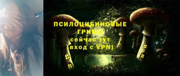 прущая мука Дмитров