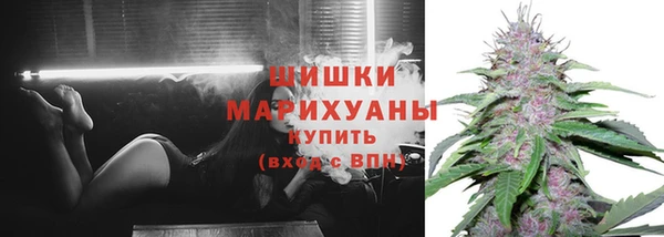 дурь Дмитровск