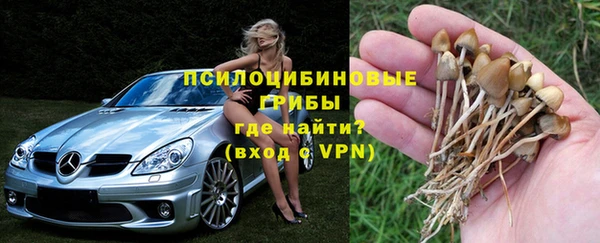 прущая мука Дмитров