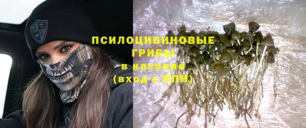 дурь Дмитровск