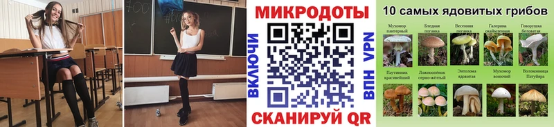 Галлюциногенные грибы MAGIC MUSHROOMS  где купить наркоту  Донской 